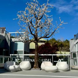 Arenas Calidas Carilo