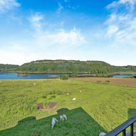 Kestrel Cottage - 27937