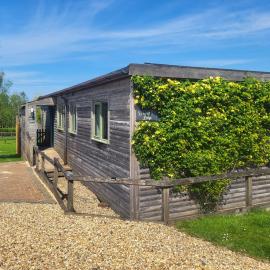 Bluebell Lodge, hotel in Holsworthy