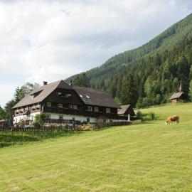 Der Perweinhof, hotel en Donnersbachwald