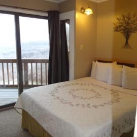 Winterplace Ski in Ski out condo First Floor D103, hotel a Ghent