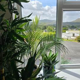Abbey Lodge - Room 2, Hotel in Ardara