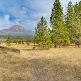 Outdoor Adventure Haven - 15 Mi to Mount Shasta!, hotel i Weed