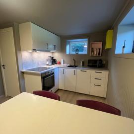 Modern basement apartment