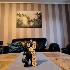 Basement apartment, Hotel in Storsteinnes