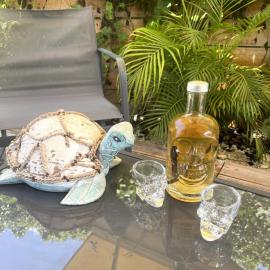 Bungalow Tortuga - Terrasse tropical, parking gratuit, proche plages