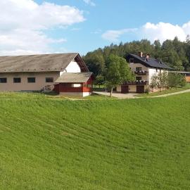 Apartment Vrtacnik