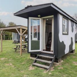 Molly Cow Shed 6