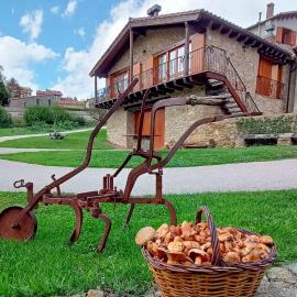 Can Tubau - Casa rural - Apartaments, ξενοδοχείο σε Campelles