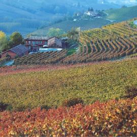 Cascina Meriame, hotell sihtkohas Serralunga d'Alba
