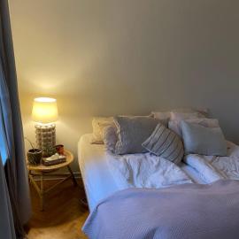 Stort værelse udlejes i herskabslejlighed midt i Odense by, hotel u gradu Odense