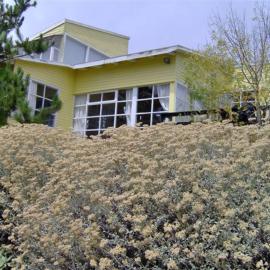 Casa Tunquén, hotel en Tunquén