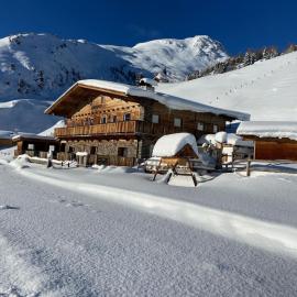 Alpine pasture in the Zillertal mountains
