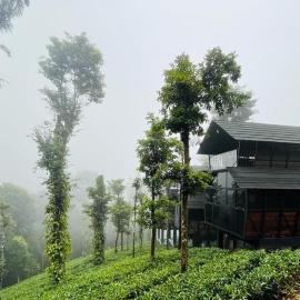 Fresh Wave Resort With Private Pool Tree House - Soochipara - Wayanad, hotell i Meppādi
