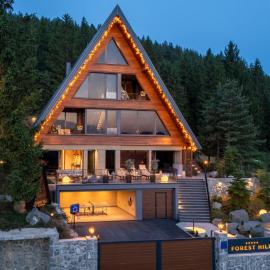 Cozy Chalet Forest Hill