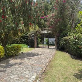 Finca Villa Patricia