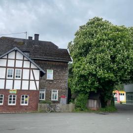 Zimmer in der Kastanienvilla