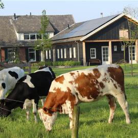 B&B 't Bievink - buitengewoon overnachten, hotel a Westendorp