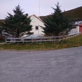 Twin trees, hótel í Skarsvåg