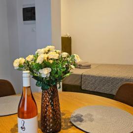 Sunshore Center apartment #2