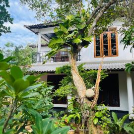 Chamikara Homestay