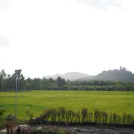 Rice Field Bungalows, hotel a Ban Pak Nam