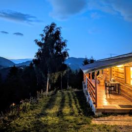 Cabana doi mesteceni, hotel en Drumu Carului