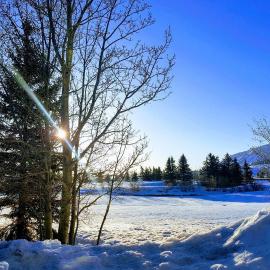 The Lodges by 8th Hole Year-Round Fun