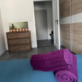 Central APT Opava, hotel in Opava