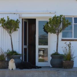 The Old Dairy at Allemanskloof, hotel a Paarl