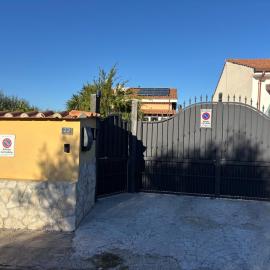 Tra gli ulivi