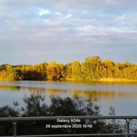 La Terrasse du Lac
