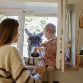 Gîte à la ferme - Animaux et séjour ressourçant, hotel u gradu Les Hays