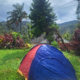Nature kings Timber leaf Homestay