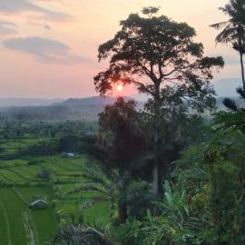 Kubu carik homestay