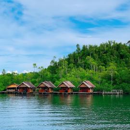 " Miguel Homestay RAJA AMPAT "