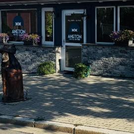 Aneton Garni Hotel, hotel a Thale