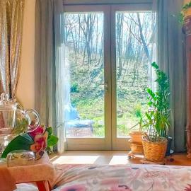 I Custodi del Bosco