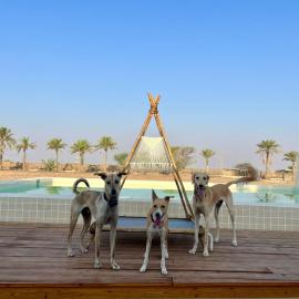 Naseem Farm Escape - dog-friendly camp site, hotel u gradu á¸¨aÅŸat al BidÄ«yah