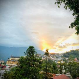 Sapa Succulent Garden Homestay - Vườn Sen Đá Homestay