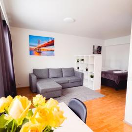 City center 3-room apartment, Parking