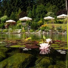 Hotel Hubertus, ξενοδοχείο σε Neukirchen am Grosvenediger