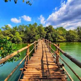 Beach River House Mandrem, ξενοδοχείο σε Mandrem