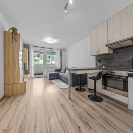 1-bedroom apartment with balcony, Rustaveliho - Rača