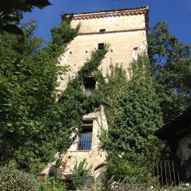 The Tower in Borgo Fontanini