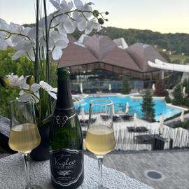 Apartman O Terme Olimia, hotel in Ravne na Koroškem