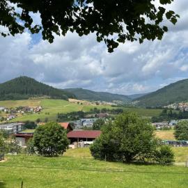 Waldblick-Appartement
