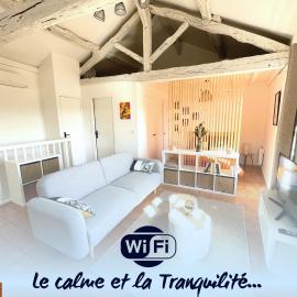 CHAMPIONNET - Charmant, calme et lumineux - 1er étage, hotel v destinácii Auch