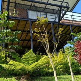 Gampling el Cielo los pinos, Hotel in Rionegro