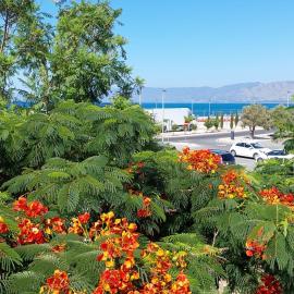 라치에 위치한 호텔 Latchi coast villa-resort
